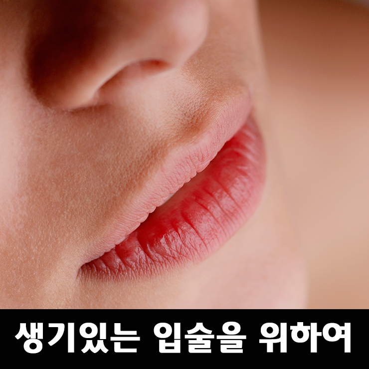 입술틴트 문신으로 생기있는 입술로 - 당산역 참조은피부과 반영구화장 관련 이미지 1