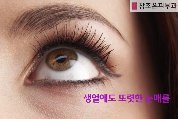 퀵수지눈썹,3d엠보눈썹,틴트입술, 반영구화장 수강문의 - 영등포 당산역 참조은피부과 관련 이미지 3