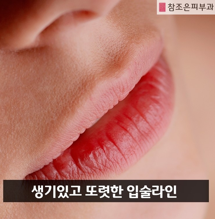 퀵수지눈썹,3d엠보눈썹,틴트입술, 반영구화장 수강문의 - 영등포 당산역 참조은피부과 관련 이미지 4