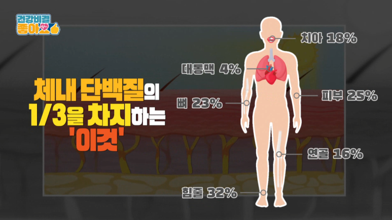 임이석원장, 관련 이미지 6