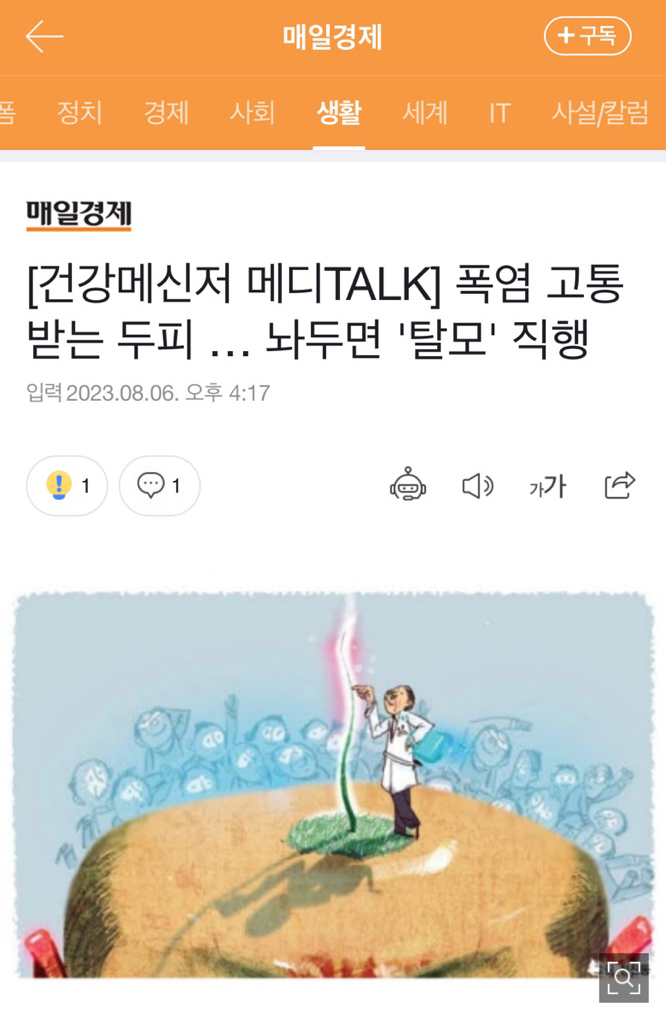 탈모치료 매일경제 메디컬 칼럼_임이석테마피부과 관련 이미지 2