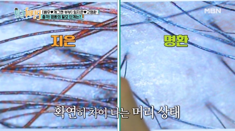 MBN 모던패밀리 관련 이미지 4