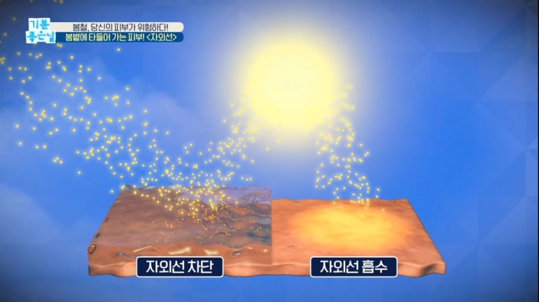 임이석 원장 관련 이미지 12