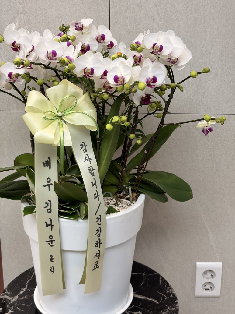 신사역 임이석테마피부과 5,6월 휴진 안내 관련 이미지 3