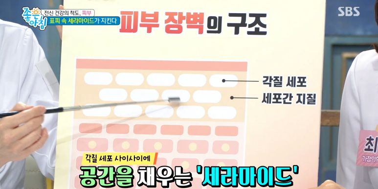 임이석원장 "건강한 피부세포가 전신을 지킨다!" SBS 좋은아침 출연 관련 이미지 4