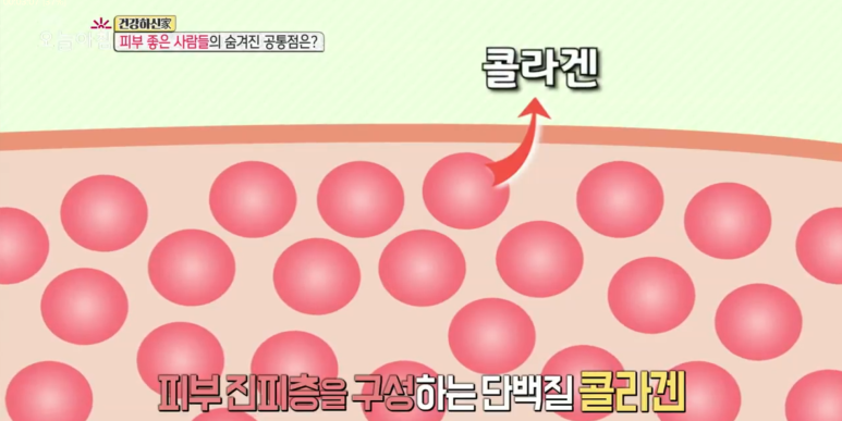 임이석원장 "피부 좋은 사람들의 공통점" 생방송 오늘아침 출연 관련 이미지 1