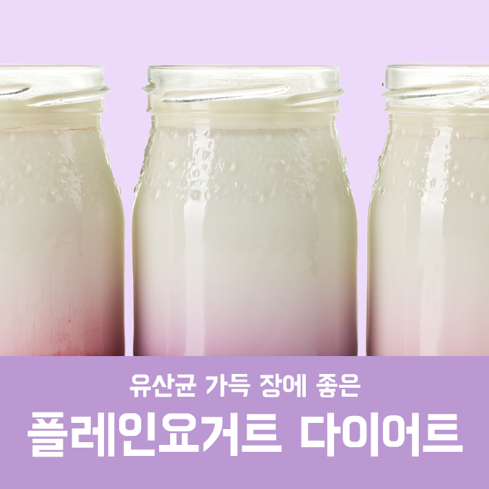 플레인요거트 다이어트 관련 이미지 3