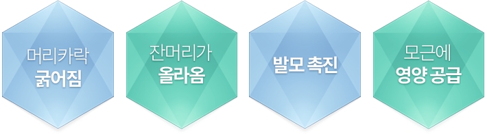 머리숱 풍성하게 관련 이미지 3