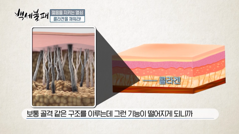 신사역 피부과, 임이석 테마피부과 원장 OBS 백세불패 방송 출연 관련 이미지 2