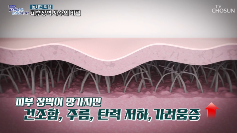 Director Im Eui-seok Appears on TV Chosun Health Documentary- image 6