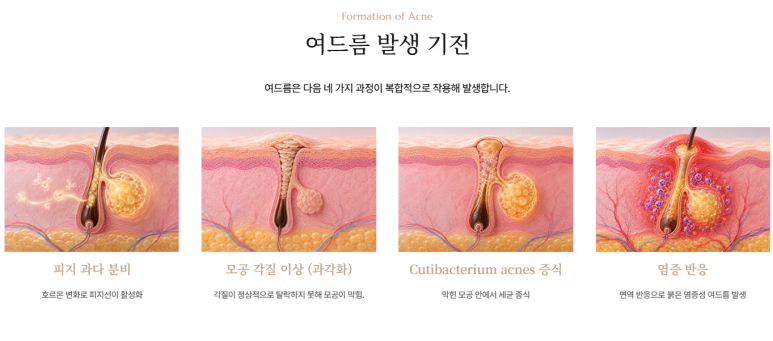 신사역 임이석테마피부과 홈페이지가 새롭게 리뉴얼되었습니다 관련 이미지 5