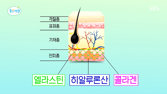 신사동 피부과전문의 임이석 원장, SBS 좋은아침 방송 출연 관련 이미지 1