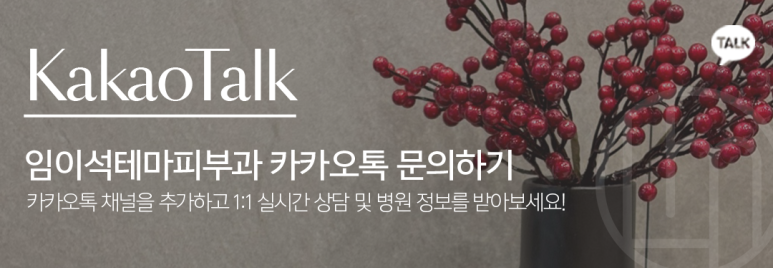 신사역 임이석테마피부과 크리스마스, 신정 진료휴진안내 관련 이미지 3