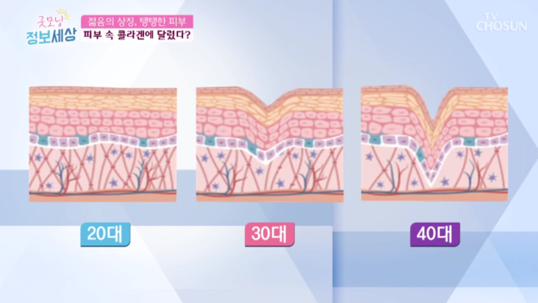 임이석 원장 "막을 수 없는 세월 늦추고 싶은 노화" TV조선 굿모닝 정보세상 출연 관련 이미지 7