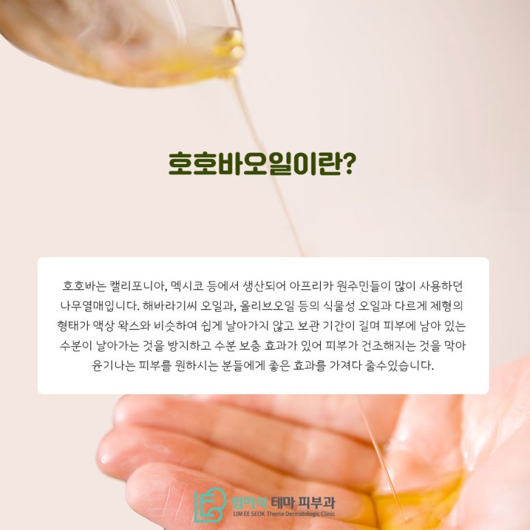 임이석테마피부과에서 알려드리는 호호바 오일 사용법 관련 이미지 3