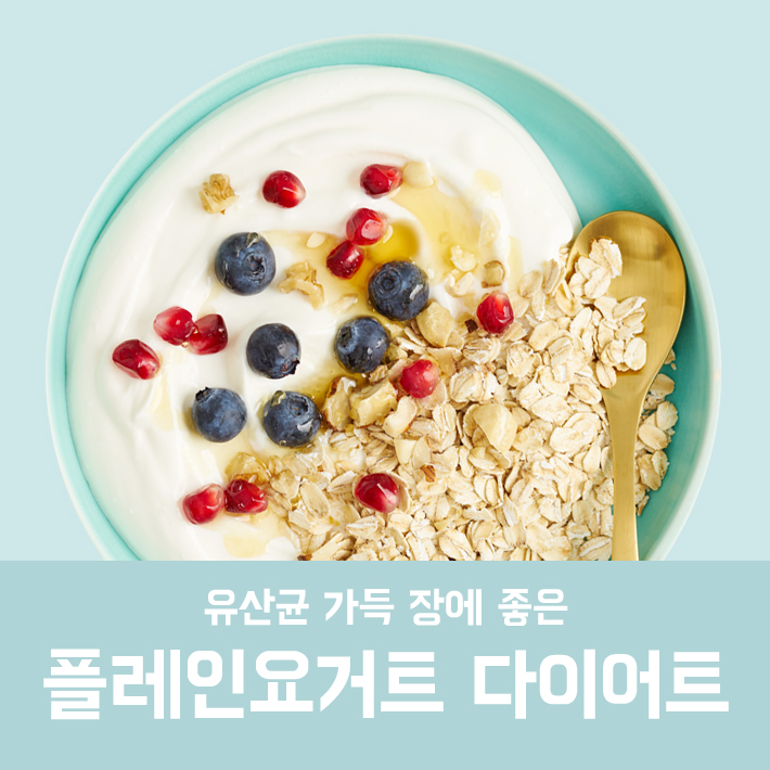 플레인요거트 다이어트 관련 이미지 4