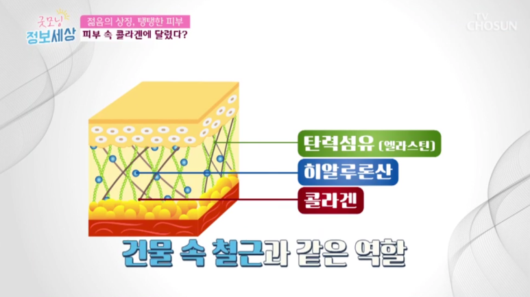 임이석 원장 "막을 수 없는 세월 늦추고 싶은 노화" TV조선 굿모닝 정보세상 출연 관련 이미지 6