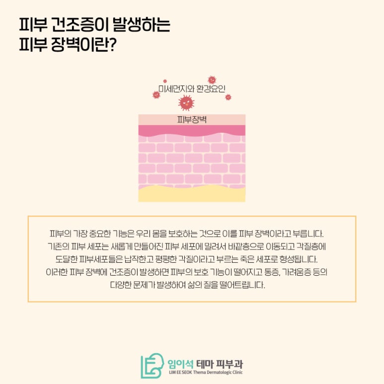 임이석테마피부과에서 알려드리는 피부건조증 관련 이미지 3