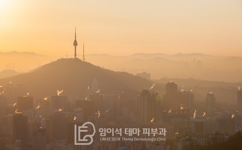 How to Deal with Poor Fine Dust Levels - Imiseok Dermatology image 2