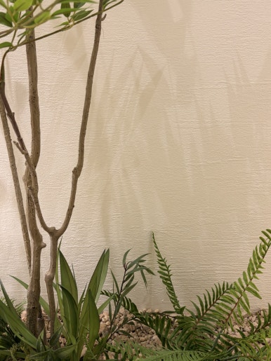 임이석테마피부과가 전하는 추석 인사 🌕 관련 이미지 3