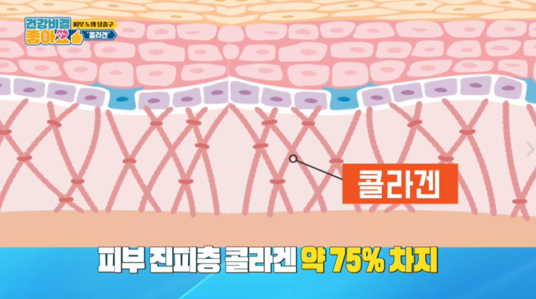 임이석원장, 관련 이미지 9