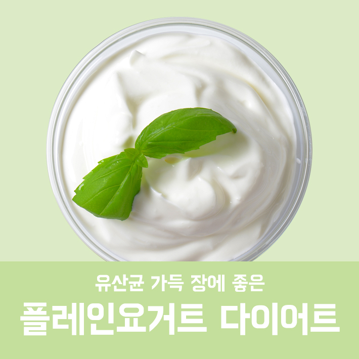플레인요거트 다이어트 관련 이미지 2