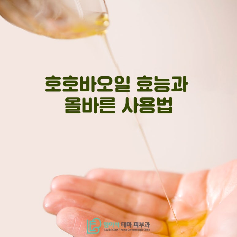 임이석테마피부과에서 알려드리는 호호바 오일 사용법 관련 이미지 2