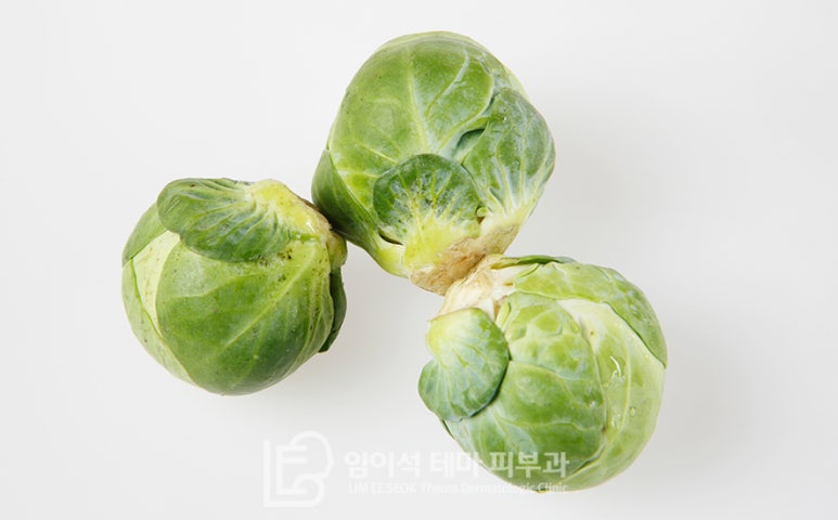 위에좋은음식 양배추효능 - 임이석피부과 관련 이미지 5