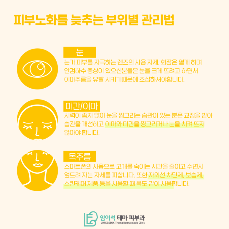 How to Manage Facial Wrinkles, as Taught by Im Eui-seok The Theme Dermatology Clinic image 8