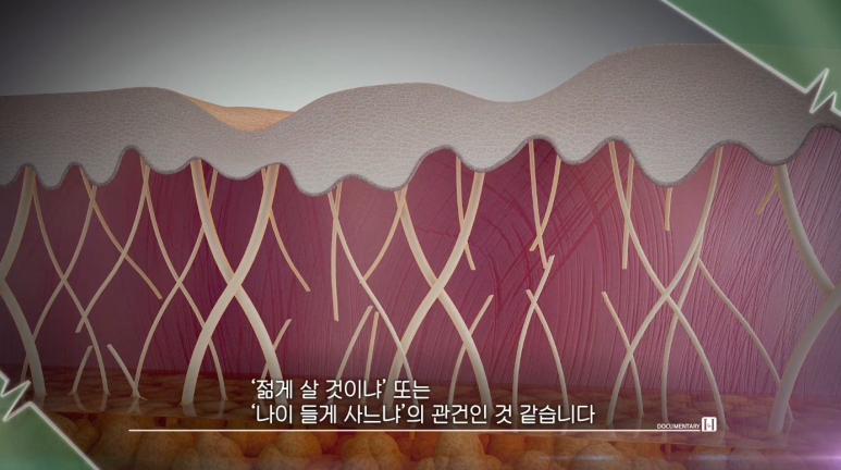Director Im Eiseok image 1