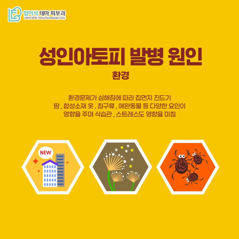 임이석피부과 성인아토피 피부염의 발병 원인과 치료법 관련 이미지 7
