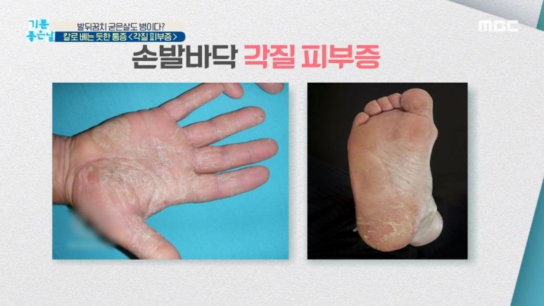 임이석 원장 관련 이미지 11
