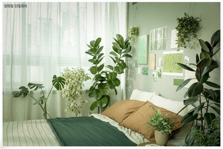 장마철 인테리어 불쾌지수가 높아지기에! 관련 이미지 3