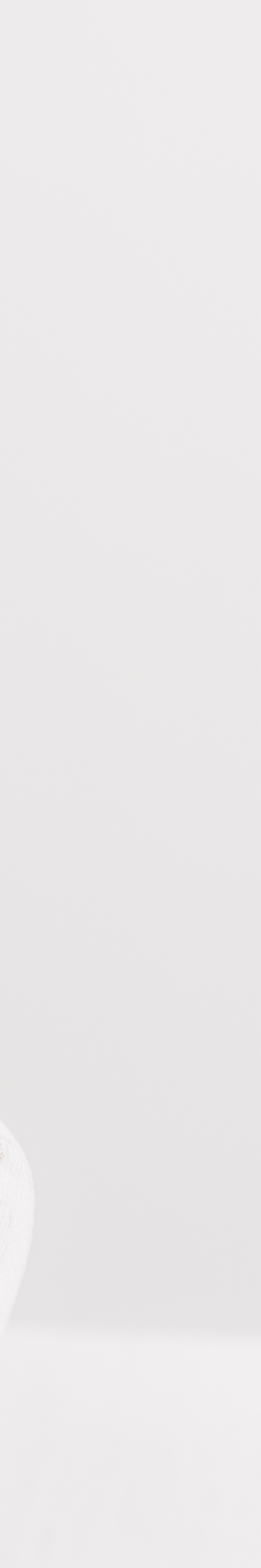 올온엑스 임플란트 과연 해결이 가능할까 관련 이미지 28