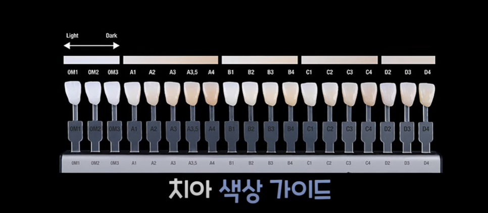 디오나비풀아치 무치악으로 고통받지 않도록! 관련 이미지 9