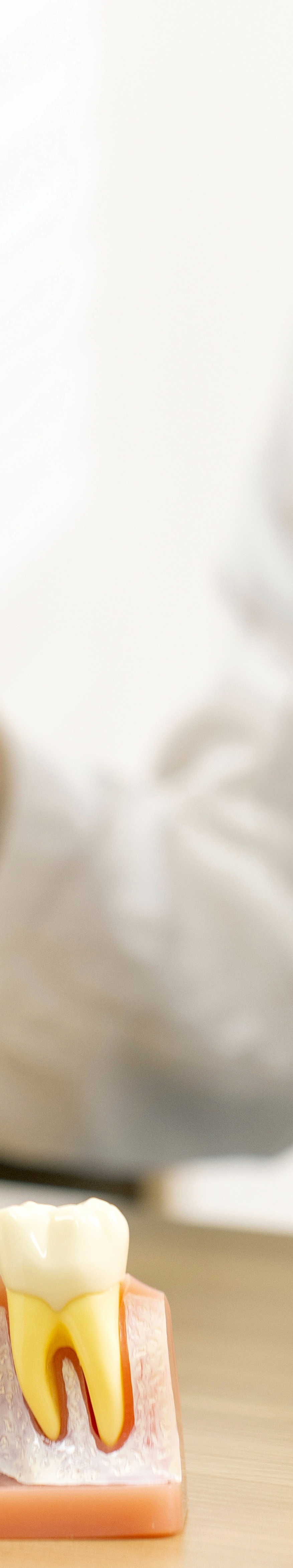 상악동거상술 윗턱 뼈 부족할 때 준비 과정은 관련 이미지 25