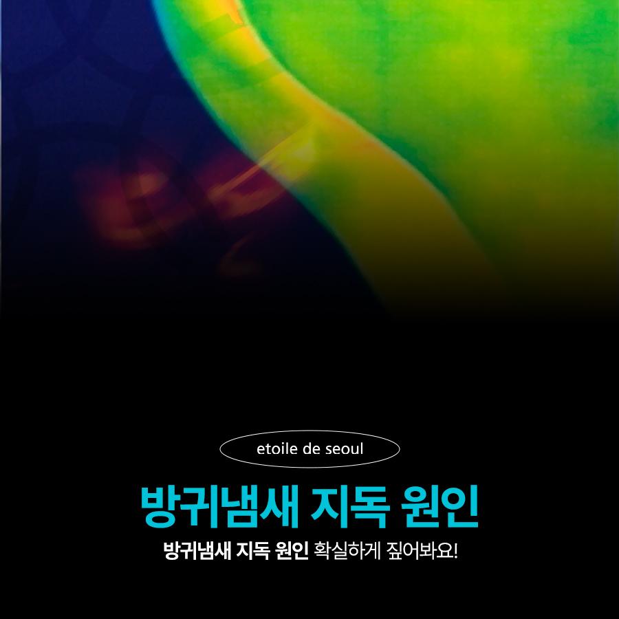 방귀냄새 지독 원인 확실하게 짚어봐요! 관련 이미지 1