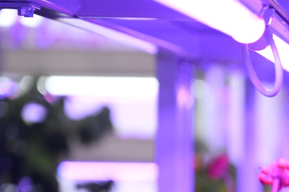 LED조명장점 형광등보다 나을까? 관련 이미지 14