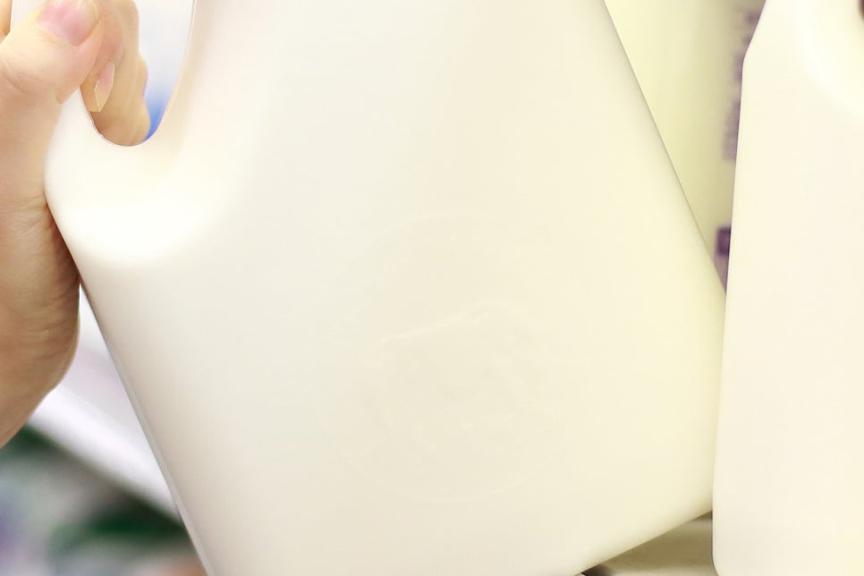 유통기한 지난 우유 활용 방법 제대로 써보세요! 관련 이미지 19