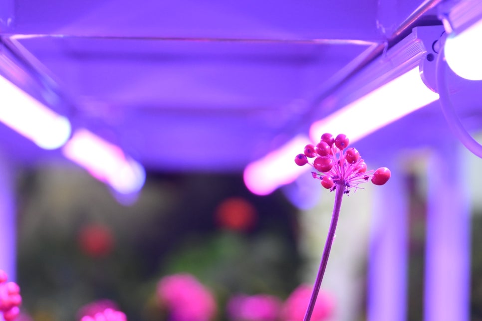 LED조명장점 형광등보다 나을까? 관련 이미지 15