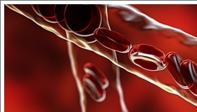 성인 혈압정상수치 범위 벗어나기 관련 이미지 16