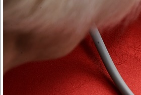 성인 혈압정상수치 범위 벗어나기 관련 이미지 10