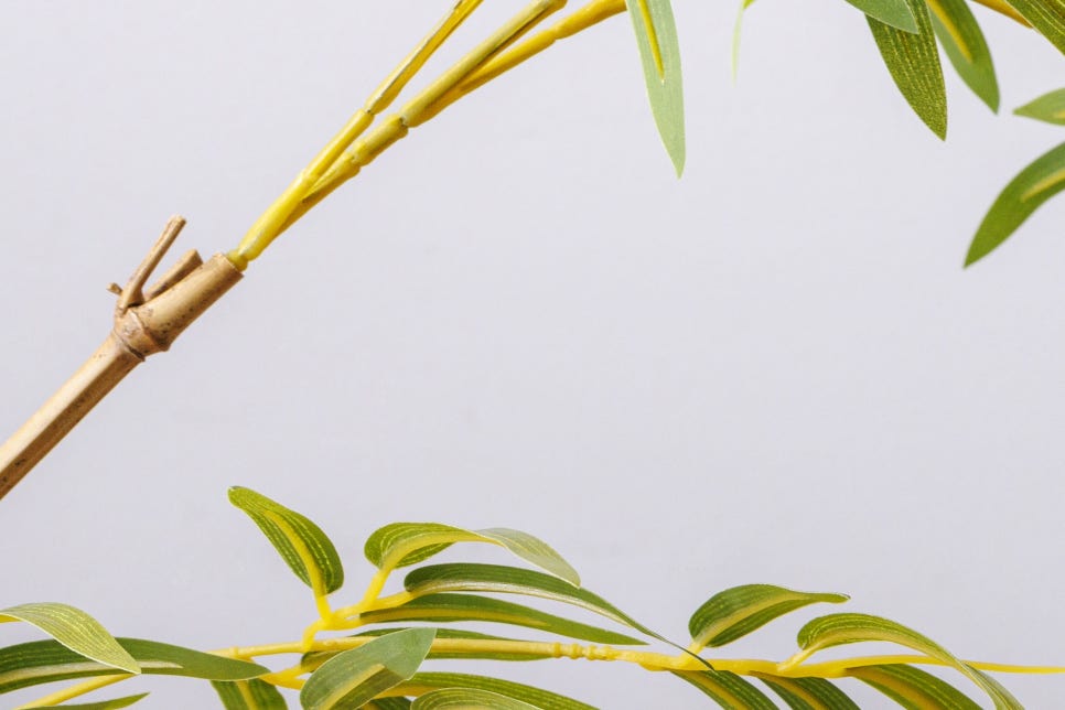 소주 1병 몇잔 용량 칼로리 해독 시간 알아봐 관련 이미지 6