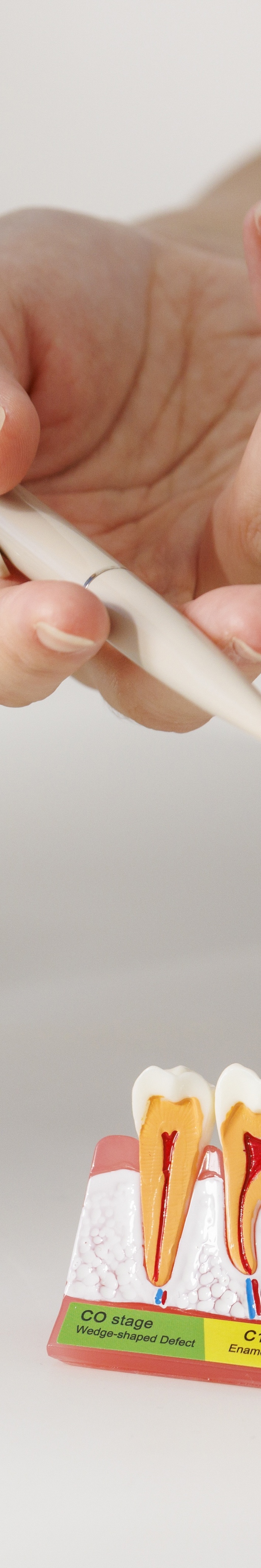 올온식스 수명 연장하는 생활습관 체크하기 관련 이미지 21