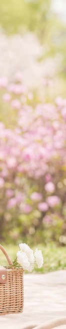 라미네이트 종류 비교 비용과 과정까지 안내 관련 이미지 28