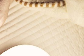 아기 냉방병 증상 여름 감기와 달라요 관련 이미지 21