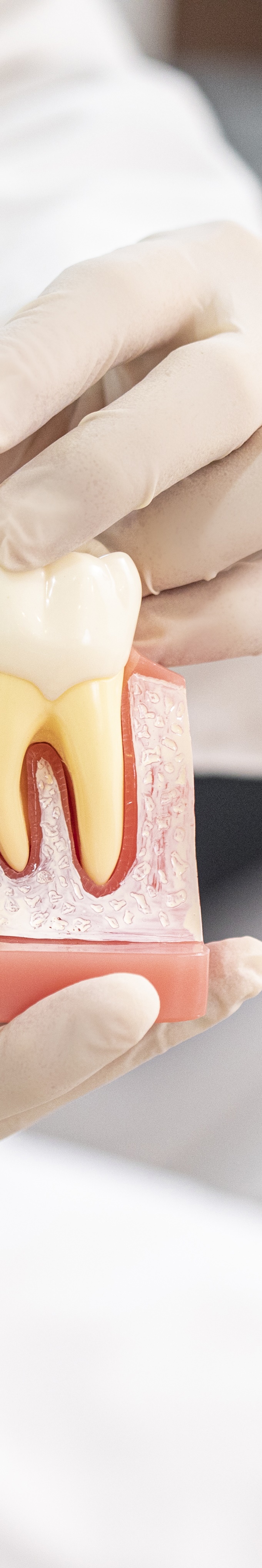 청담동임플란트 선택 전 꼭 알아야 할 사실들 관련 이미지 28