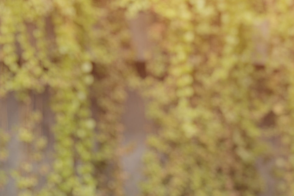 소화가 잘 안되요 원인 평소 자주 체한다면? 관련 이미지 22