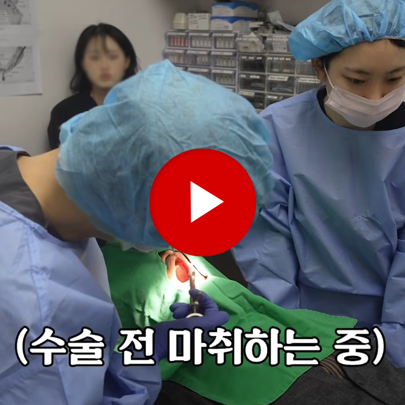 풀아치 임플란트 통증 걱정 때문에 망설이셨다면 치료 전에 알아야 할 5가지 관련 이미지 2