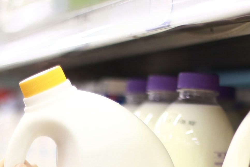 유통기한 지난 우유 활용 방법 제대로 써보세요! 관련 이미지 16